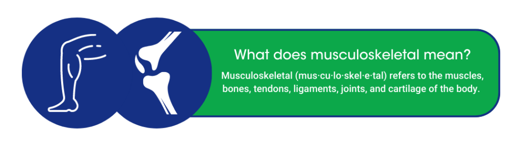 what does musculoskeletal mean?