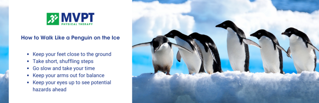 How to walk like a penguin in ice