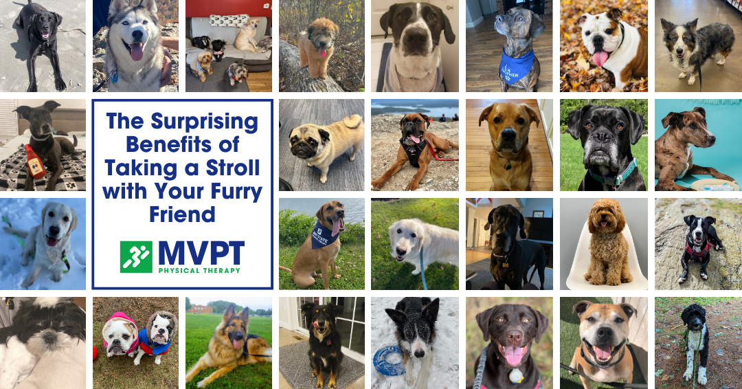 The Surprising Benefits of Taking a Stroll with Your Furry Friend