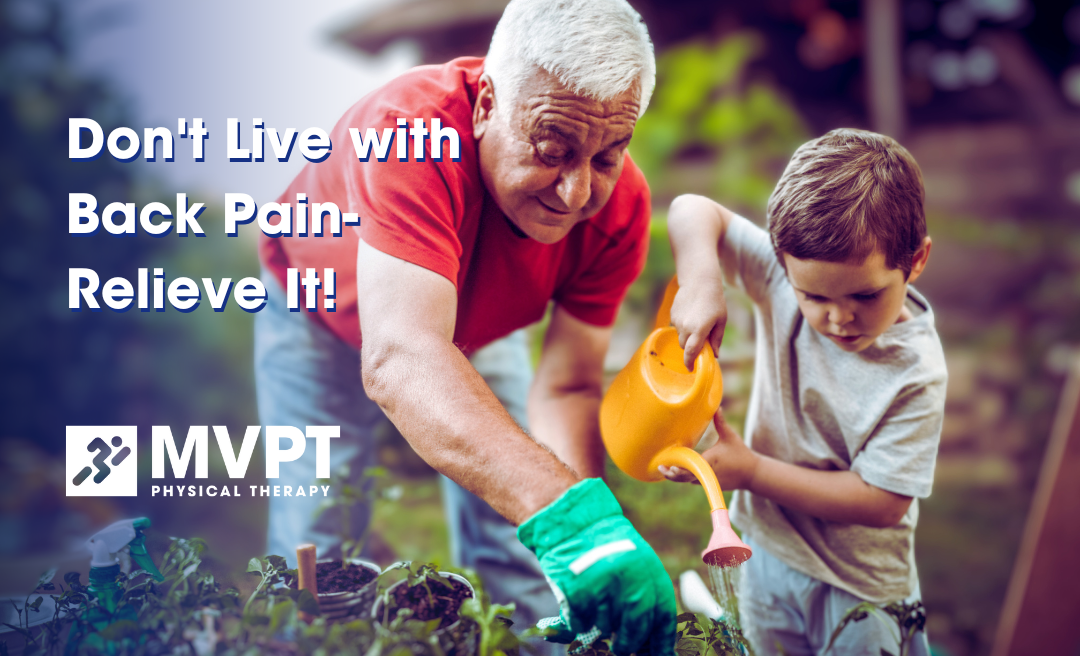 Don’t Live with Back Pain- Relieve It