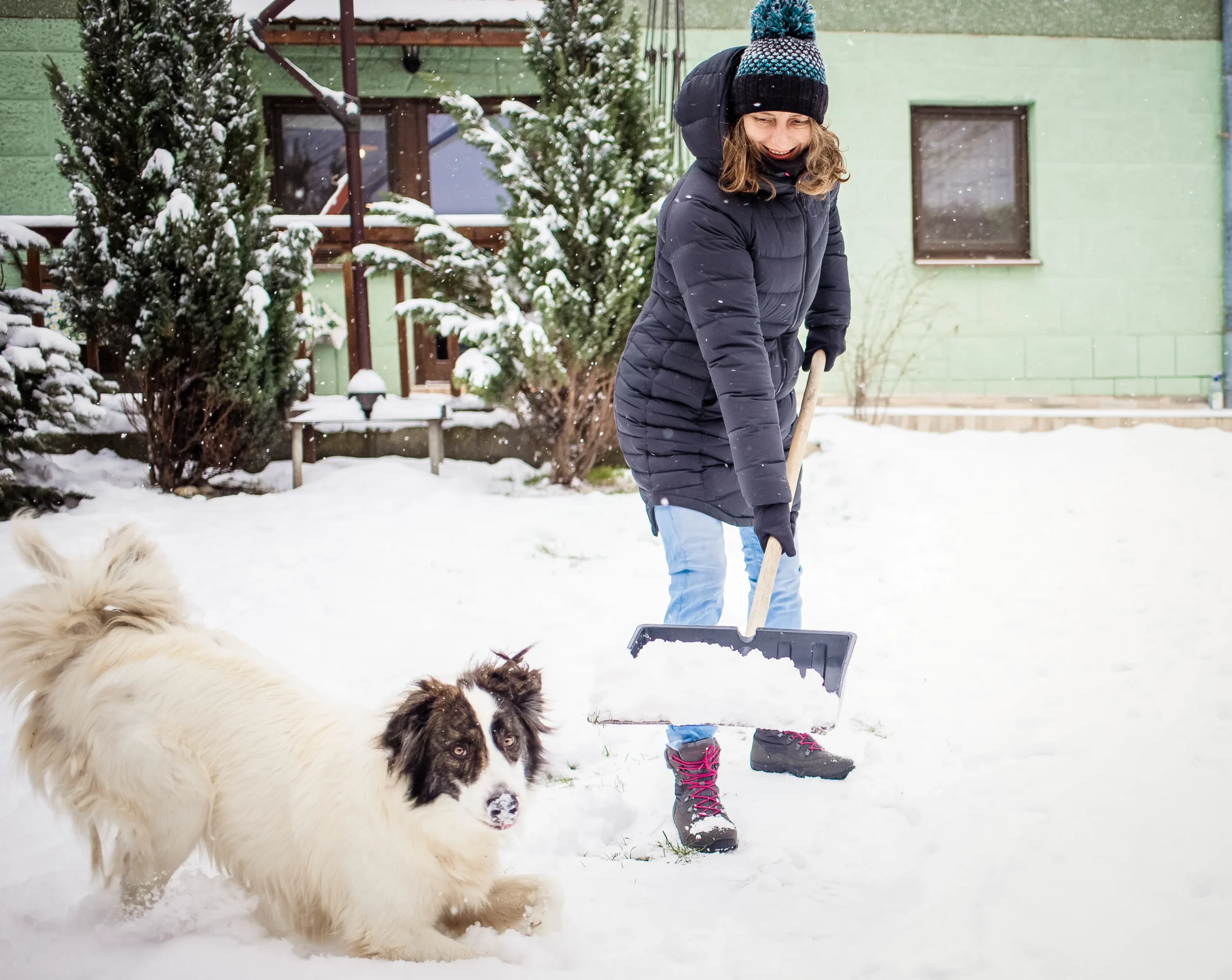 A woman and her dog play in the snow, emphasizing the importance of staying active and prepared for winter shoveling.