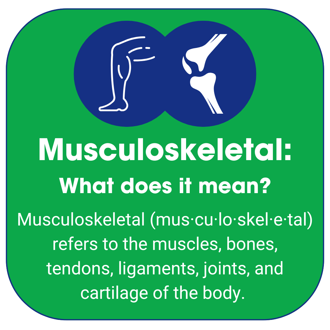 Infographic defining "musculoskeletal" in the context of physical therapy as a first line of defense for health