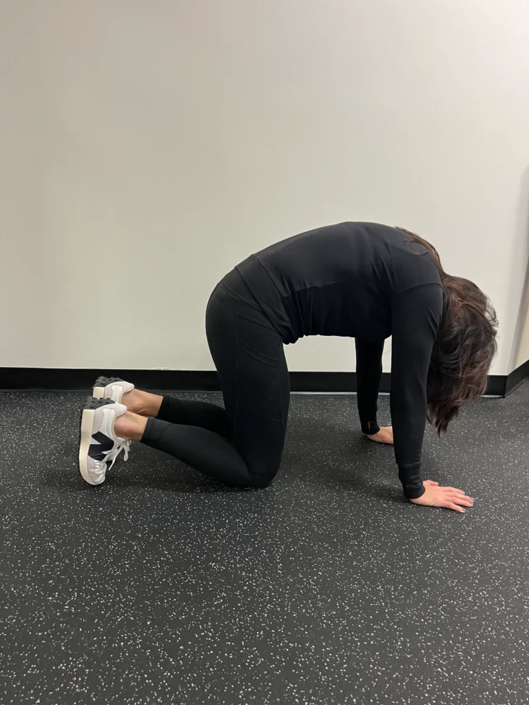 Marjaryasana-Bitilasana (Cat-Cow Flow)2